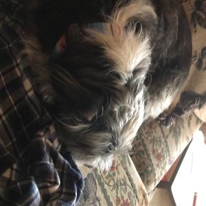 Meet your Posher, Donalda